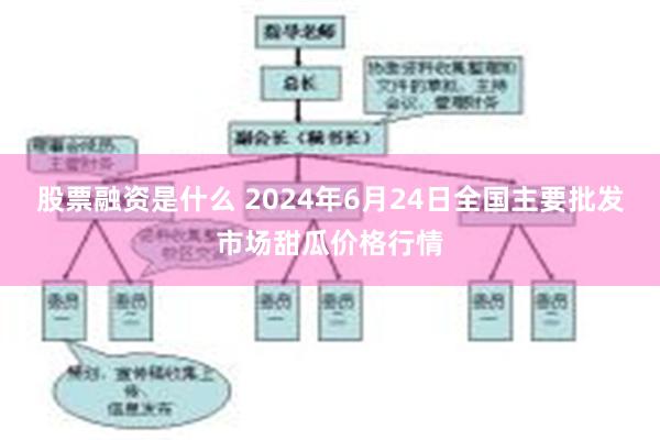 股票融资是什么 2024年6月24日全国主要批发市场甜瓜价格行情