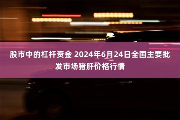 股市中的杠杆资金 2024年6月24日全国主要批发市场猪肝价格行情