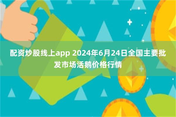 配资炒股线上app 2024年6月24日全国主要批发市场活鹅价格行情