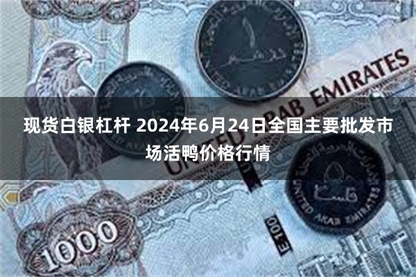 现货白银杠杆 2024年6月24日全国主要批发市场活鸭价格行情