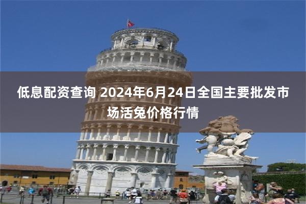 低息配资查询 2024年6月24日全国主要批发市场活兔价格行情