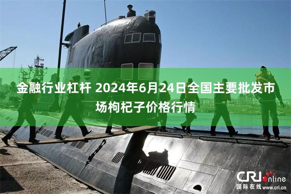 金融行业杠杆 2024年6月24日全国主要批发市场枸杞子价格行情