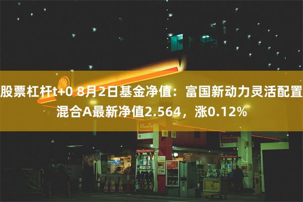 股票杠杆t+0 8月2日基金净值：富国新动力灵活配置混合A最新净值2.564，涨0.12%