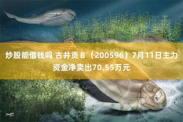 炒股能借钱吗 古井贡Ｂ（200596）7月11日主力资金净卖出70.55万元