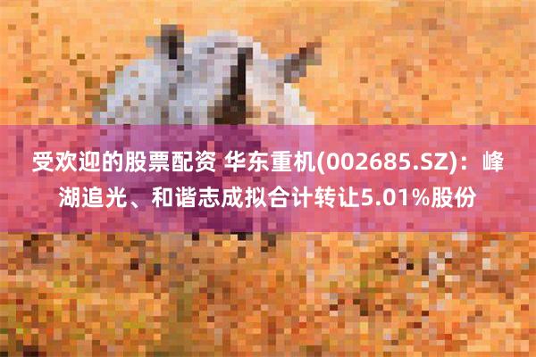 受欢迎的股票配资 华东重机(002685.SZ)：峰湖追光、和谐志成拟合计转让5.01%股份