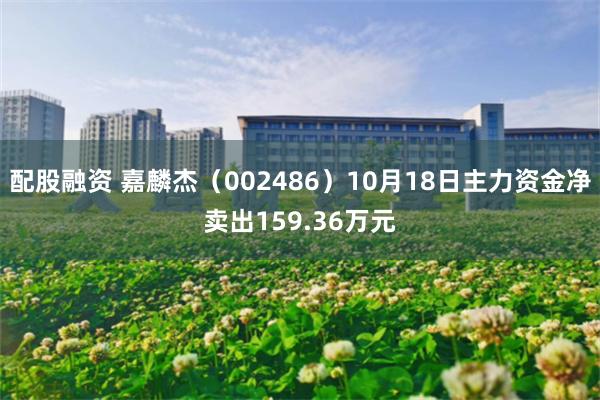 配股融资 嘉麟杰（002486）10月18日主力资金净卖出159.36万元